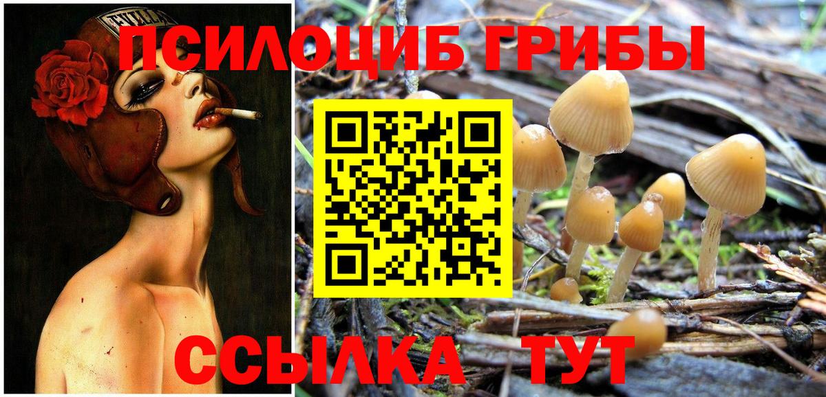 Псилоцибиновые грибы мицелий Конаково