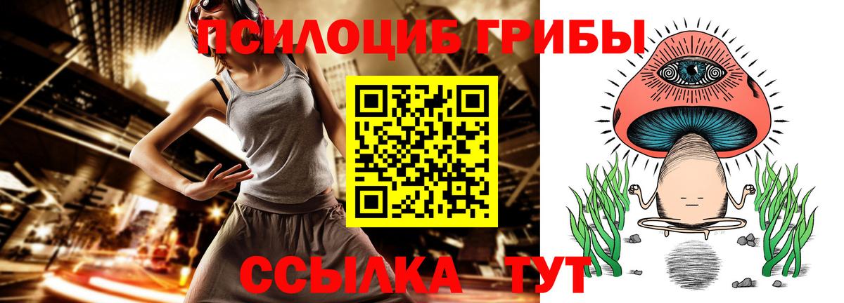 Псилоцибиновые грибы прущие грибы  Псилоцибиновые грибы мицелий  где продают   Конаково  Вход с VPN 